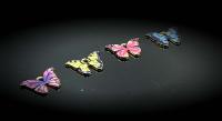 Colourful Butterfly Earrings & Necklace