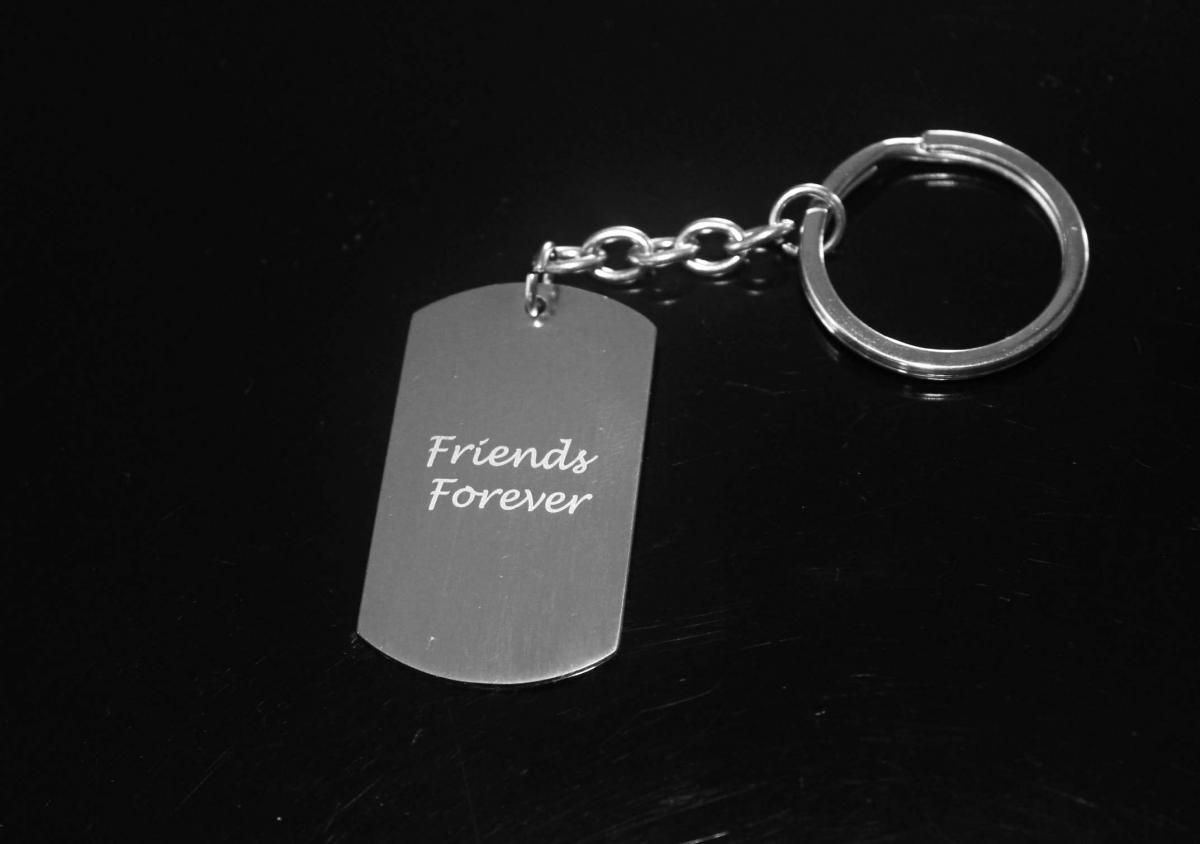 Friends Forever Keychain / Bag Clip - Stainless Steel