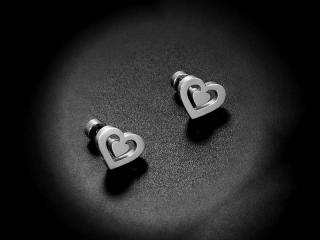 Double Heart Earrings