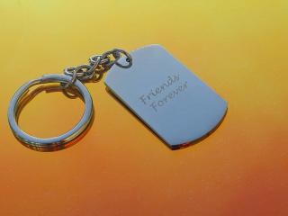 Friends Forever Keychain / Bag Clip - Stainless Steel