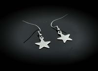 Star Drop Earrings Stainless Steel
